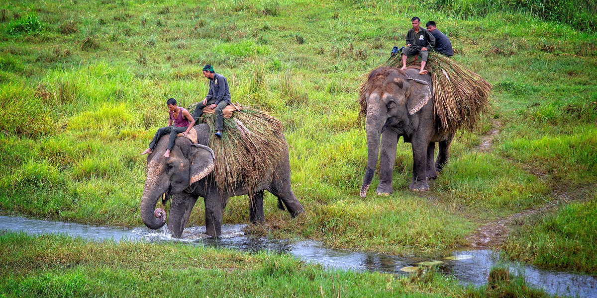 Chitwan Travel Guide