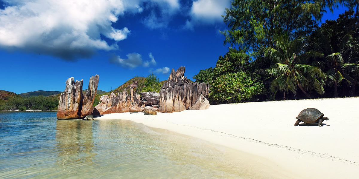 Seychelles Travel Guide